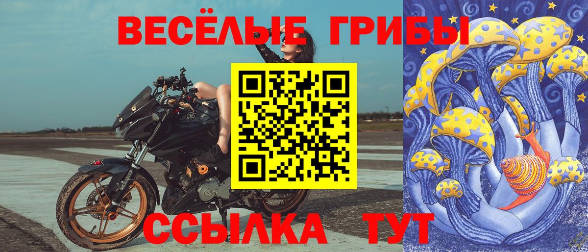 Псилоцибиновые грибы мицелий  где купить наркотик  Усть-Илимск  Вход с VPN 